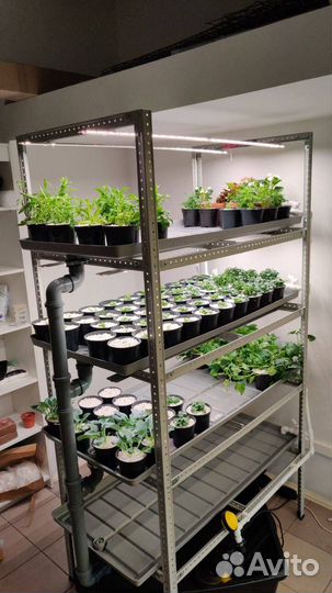 Новая свободная ниша в твоем городе. обучение