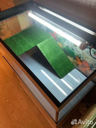 Террариум 100 литров