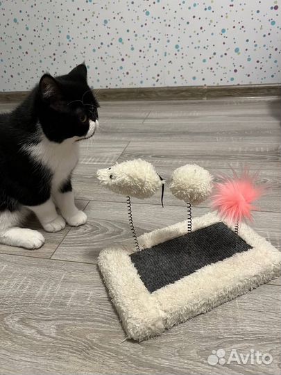 Игрушка с когтеточкой для кошек