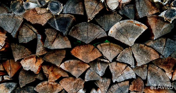 Дрова с Выборга