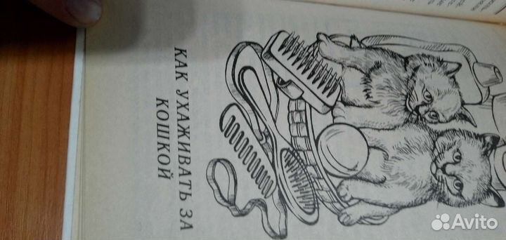 Кошка в доме книга о кошках