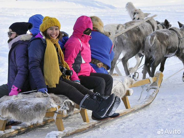 Экскурсия — Мурманск — Саамская деревня: путешеств