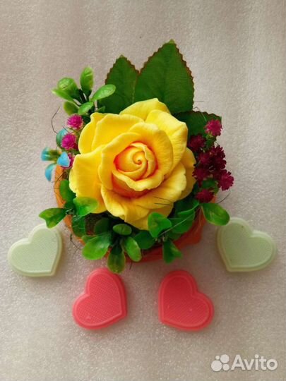 Мыльные розы в куполе