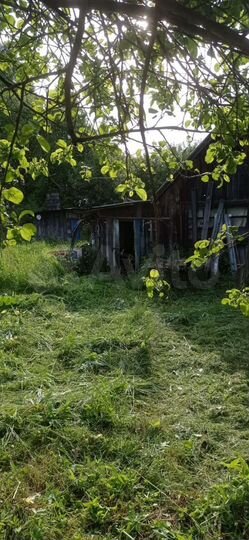 Дом 50 м² на участке 14 сот.