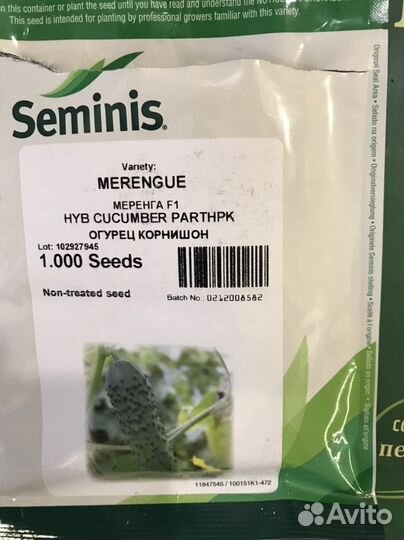 Профессиональные семена огурца Герман Маша Меренге