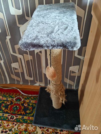 Когтеточка