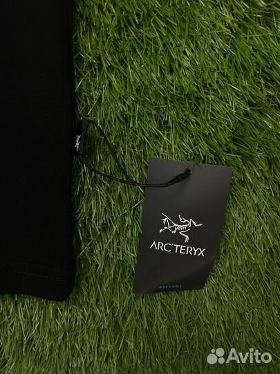 Футболка мужская Arcteryx