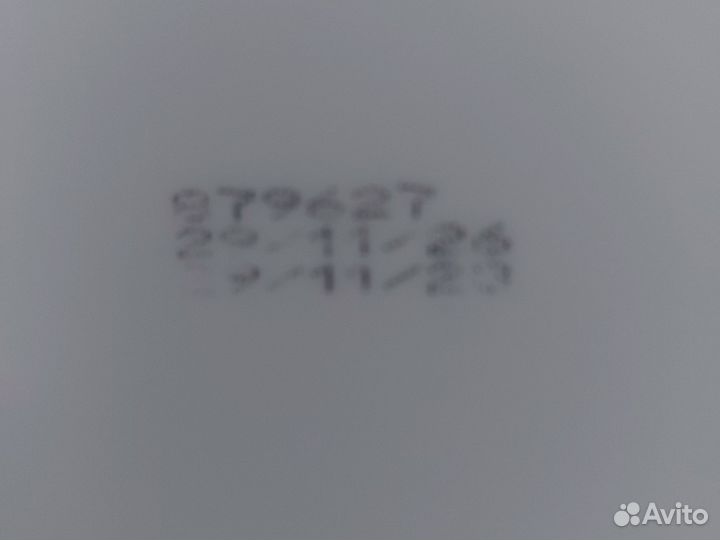 Нанокары, сапфировые попугаи,корм