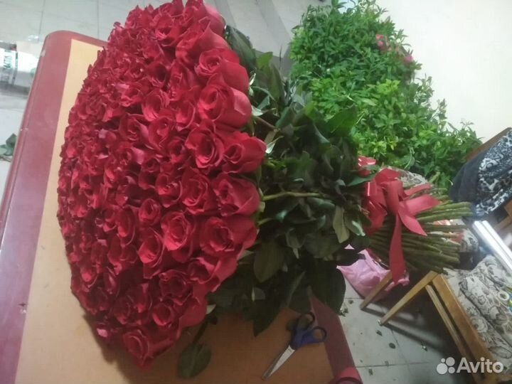 Роза Цветы Доставка