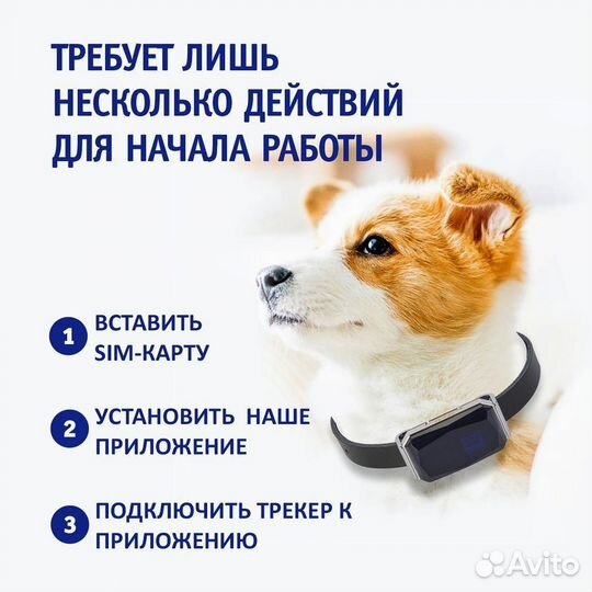 GPS-ошейник для собак и кошек оптом