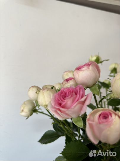 Цветы с доставкой