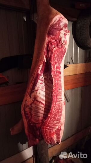 Мясо свинина домашняя