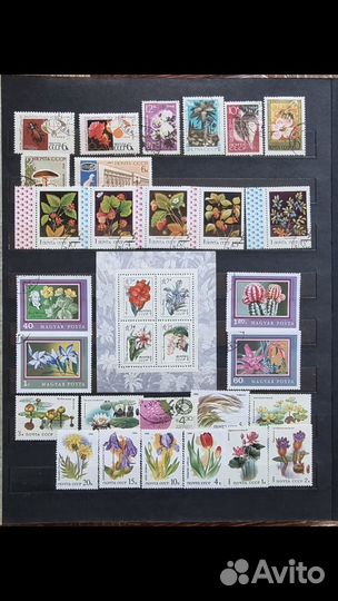 Почтовые марки СССР альбом