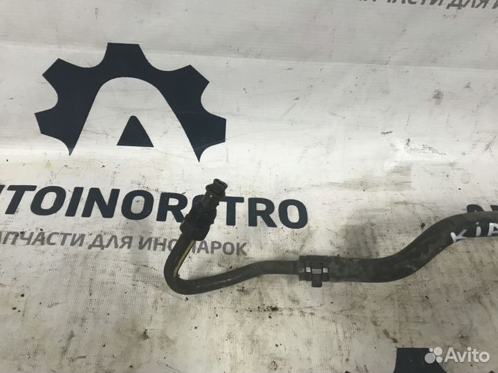 Трубка. Шланг гидроусилителя руля Kia Rio