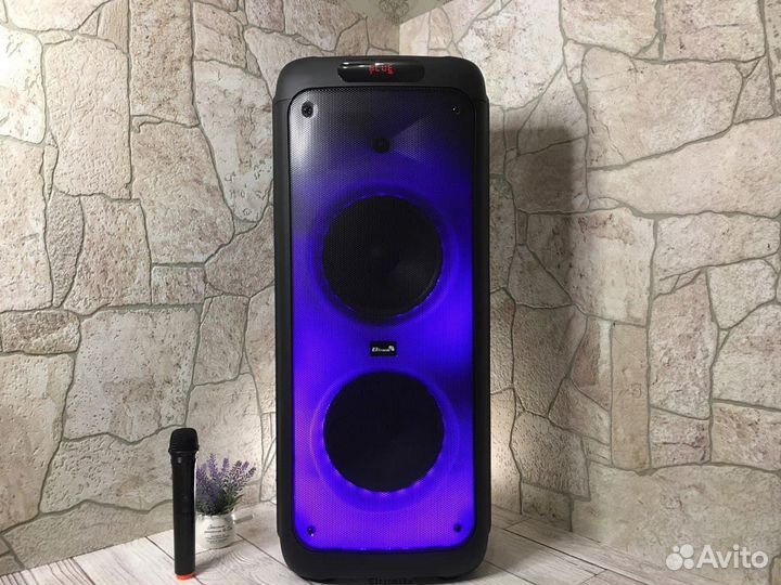 Большая колонка Eltronic 20-03