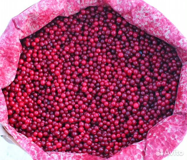 Клюква,брусника,черника,клубника,вишня,овощи и др