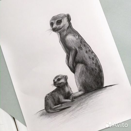 Картина графическая зарисовка сурикаты