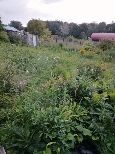 Дача 20 м² на участке 6 сот.