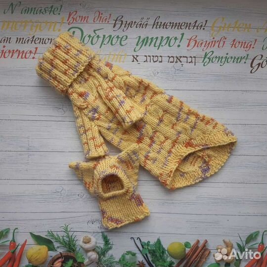 Одежда для собак, свитера, шапки