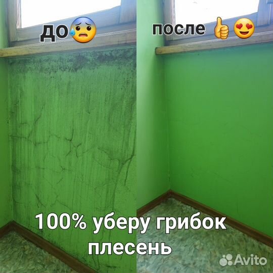 Убрать плесень