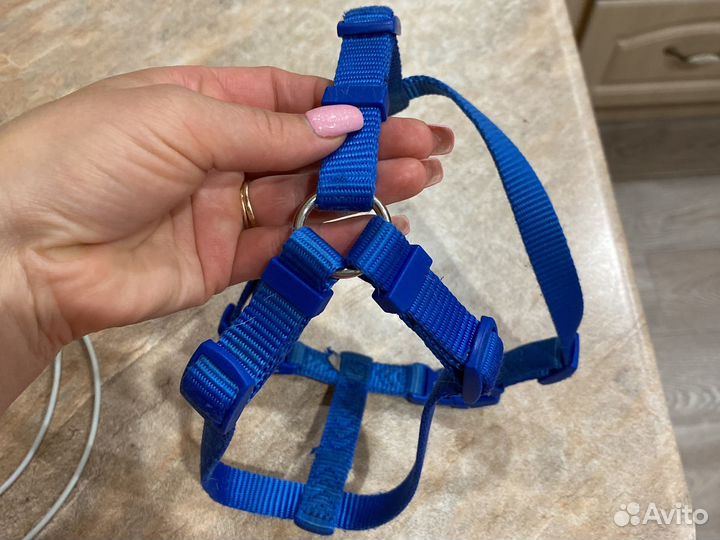 Шлейка для собаки