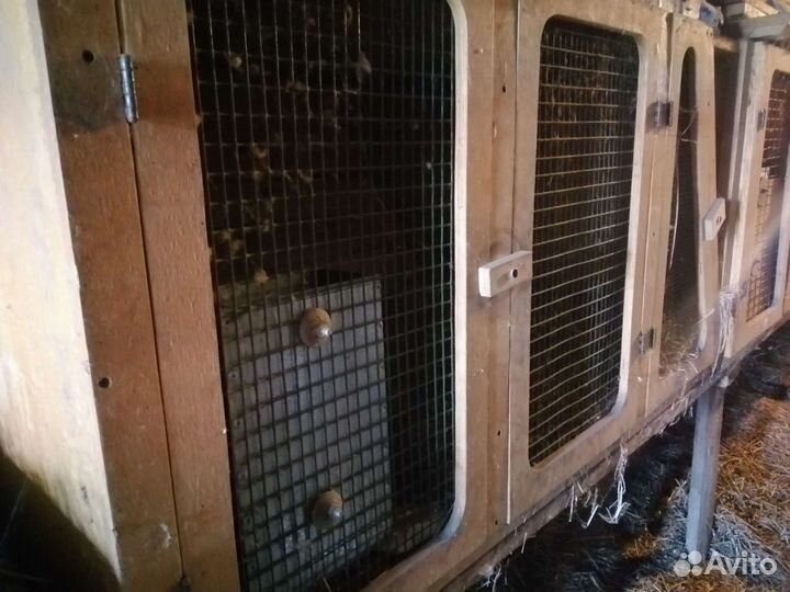 Клетка для кролика