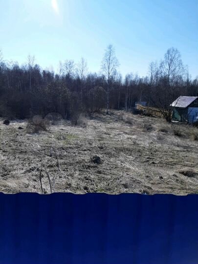 Участок 11 сот. (СНТ, ДНП)