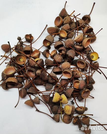 Материалы для творчества