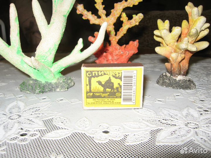 Кораллы для аквариума