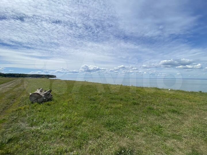 Участок 2,96 га (СНТ, ДНП)