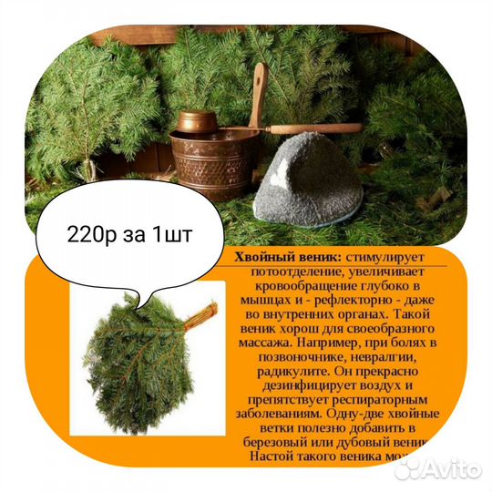 Веники для бани,березовые вен,дуб вен, запарки