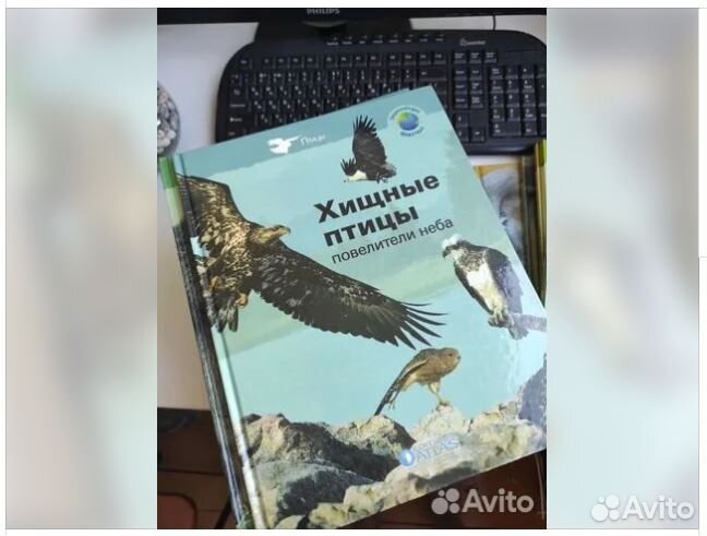 Красочная энциклопедия о животных для детей