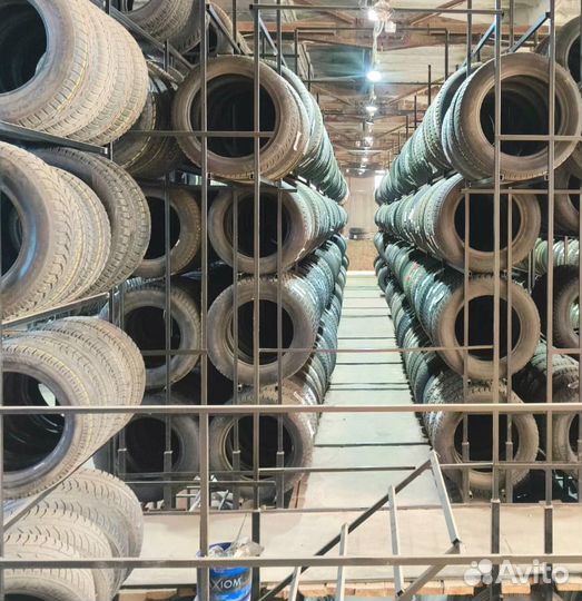 Continental ContiWinterViking 2 205/55 R16 91N