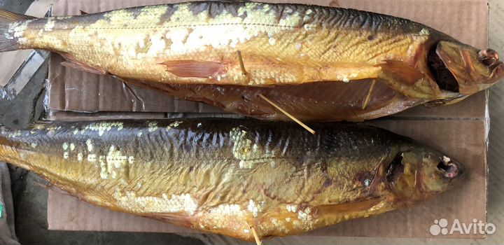 Омуль холодного копчения