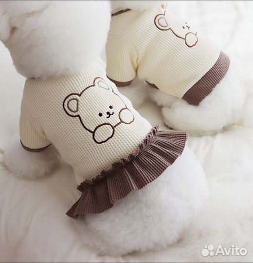 Одежда для собак