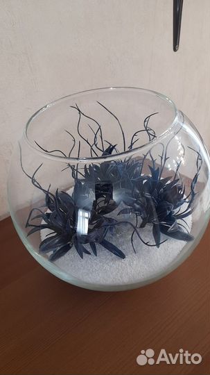 Флорариум композиция