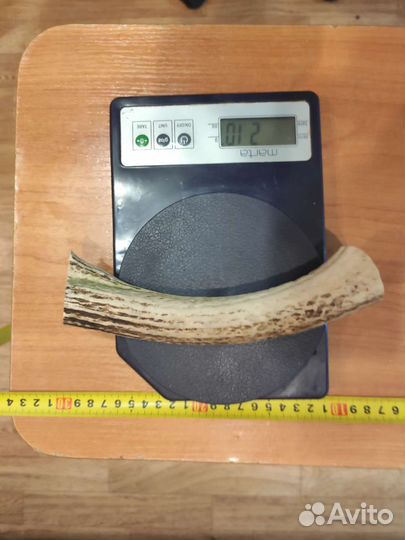 Лакомства для собак. оленьи рога