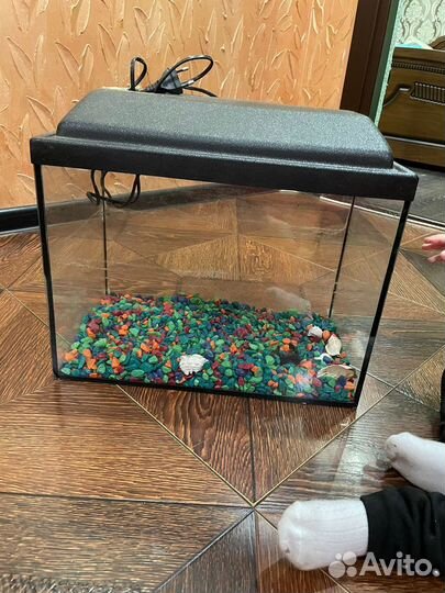 Аквариум 20 литров