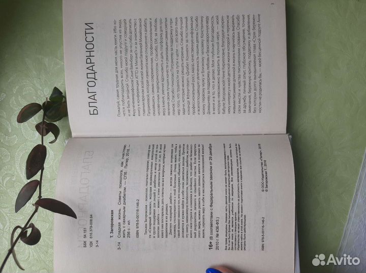 Сладкая жизнь книга