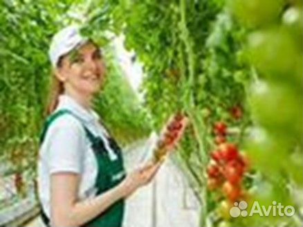 Руководитель отдела оплаты