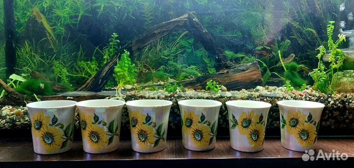 Чайный сервиз СССР стопки фужеры