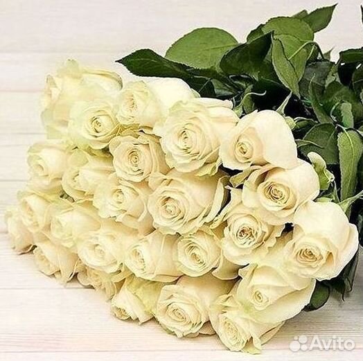 Высокие розы Гигантские розы с доставкой