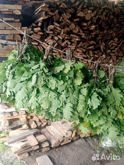 Веники дубовые, берёзовые