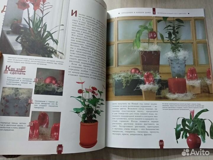 Книга о флористике