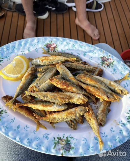 Рыбалка в море