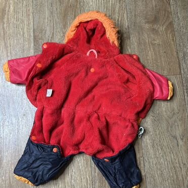 Одежда для собак мелких пород