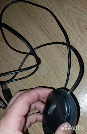 Мышь Genius Netscroll 100x Usb