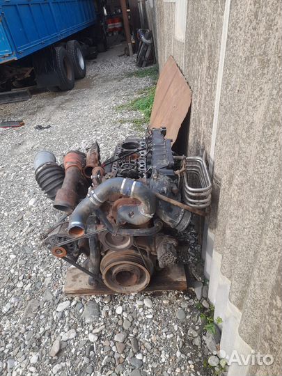 Мотор man камандор