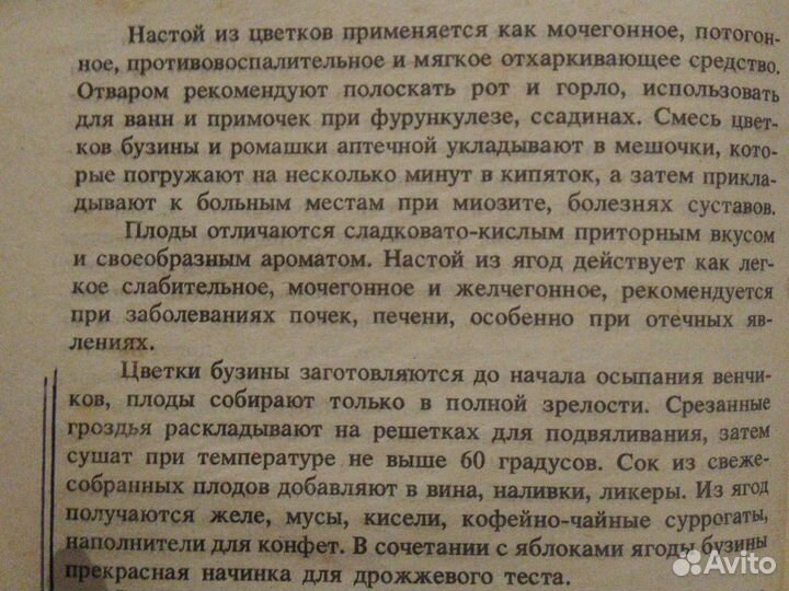 Плоды бузины чёрной,сушённые