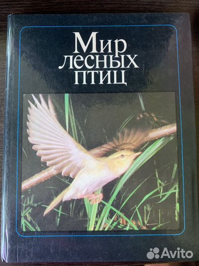 Книги о птицах